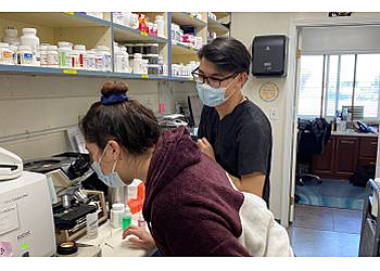 San Mateo Veterinary Clinics Animal Cove Pet Hospital