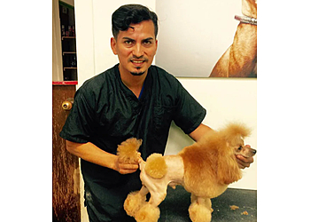 Miami Pet Grooming Animal Crackers