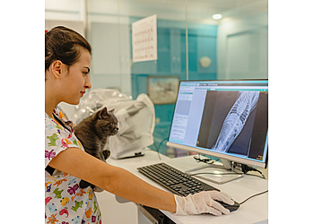 Killeen Veterinary Clinics Animal Emergency Center of Killeen