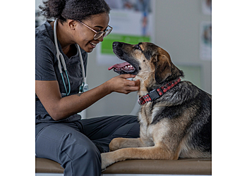 Killeen Veterinary Clinics Animal Emergency Center of Killeen