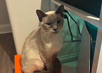 Raleigh Veterinary Clinics Animal Emergency Hospital & Urgent Care