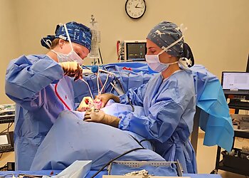 Chattanooga Veterinary Clinics Animal Emergency & Specialty Center of Chattanooga