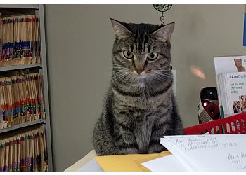 Clarksville Veterinary Clinics Animal Hospital Clarksville