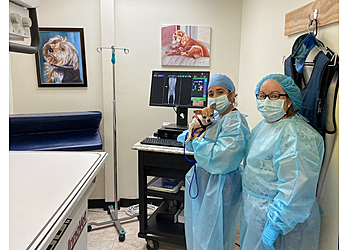 Hollywood Veterinary Clinics Animal Hospital Of Pembroke Road