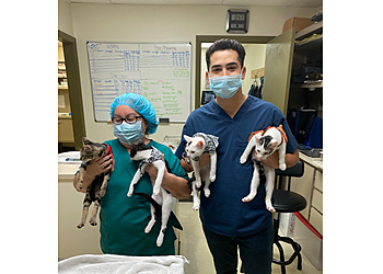 Hollywood Veterinary Clinics Animal Hospital Of Pembroke Road