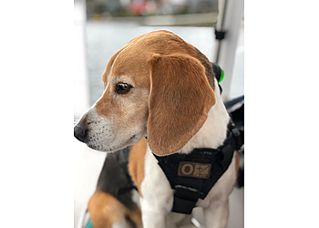 Animal Hospital of Newport Hills - Bellevue, WA Veterinary Clinics - Service Highlights