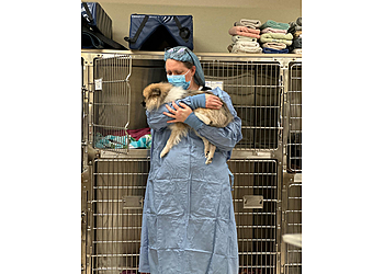 Tacoma Veterinary Clinics Animal Hospital of Parkland