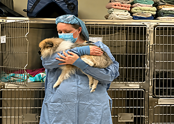 Animal Hospital of Parkland - Tacoma, WA Veterinary Clinics - Doctor With Patient Image