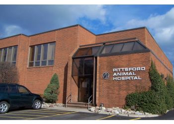 3 Best Veterinary Clinics in Rochester, NY - ThreeBestRated