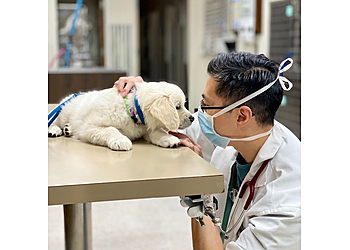 Salinas Veterinary Clinics Animal Hospital of Salinas