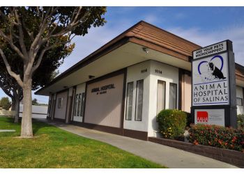 Animal Hospital of Salinas Salinas Veterinary Clinics image 1