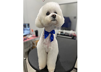 Animal House Pet Grooming - Thousand Oaks, CA Pet Grooming - Service Image