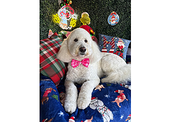 Animal House Pet Grooming - Thousand Oaks, CA Pet Grooming - Business Exterior Image