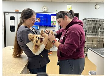 Clarksville Veterinary Clinics Animal House Veterinary Clinic