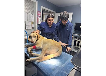 Nashville Veterinary Clinics Animal House Veterinary Clinic