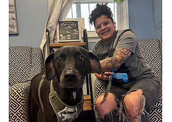 Nashville Veterinary Clinics Animal House Veterinary Clinic