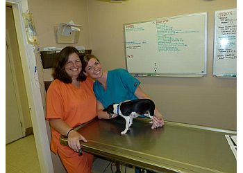 Jackson Veterinary Clinics Animal Medical Center