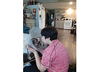 Murfreesboro Veterinary Clinics Animal Medical Center