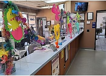 Corona Veterinary Clinics Animal Medical Center of Corona