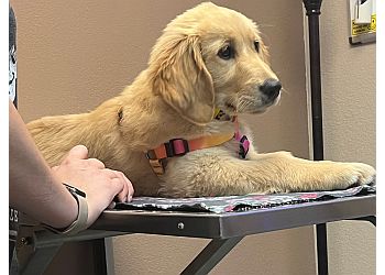 Corona Veterinary Clinics Animal Medical Center of Corona