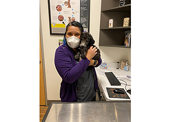 Surprise Veterinary Clinics Animal Medical Center of Surprise
