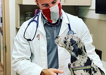 St Petersburg Veterinary Clinics Animal Medical Hospital