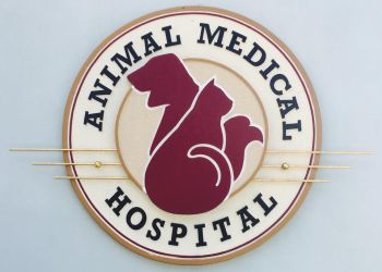 St Petersburg veterinary clinic Animal Medical Hospital