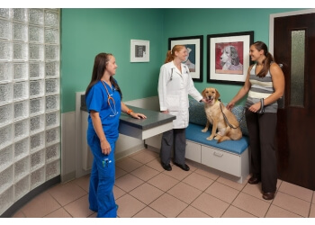 3 Best Veterinary Clinics in Charlotte, NC - ThreeBestRated