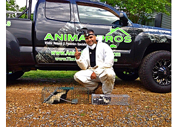 Nashville Animal Removal Animal Pros