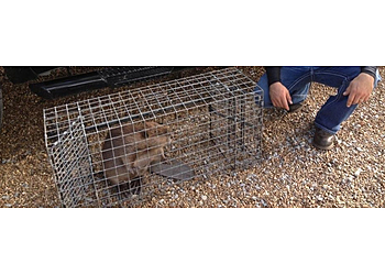 Nashville Animal Removal Animal Pros