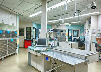 Escondido Veterinary Clinics Animal Urgent Care