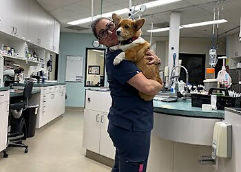 Escondido Veterinary Clinics Animal Urgent Care