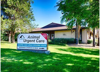 Animal Urgent Care
