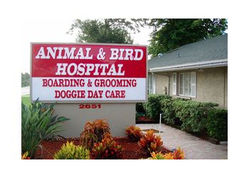 Animal and Bird Hospital Clearwater Veterinary Clinics