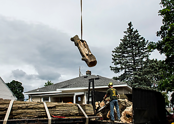 Albany Tree Services Anjoe Tree Service