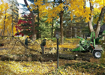 Albany Tree Services Anjoe Tree Service