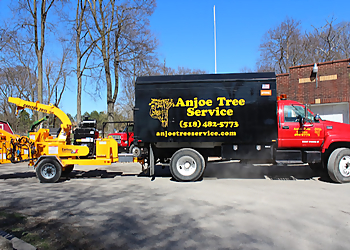Anjoe Tree Service Albany Tree Services image 1