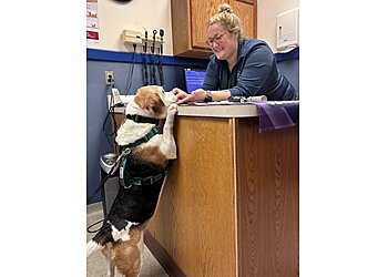Ann Arbor Veterinary Clinics Ann Arbor Animal Hospital