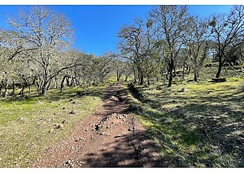 Santa Rosa Hiking Trails Annadel State Park