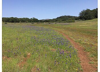 Santa Rosa Hiking Trails Annadel State Park