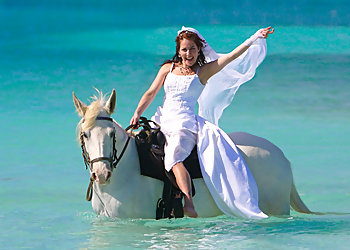 New Haven Wedding Photographers Annandale Photography