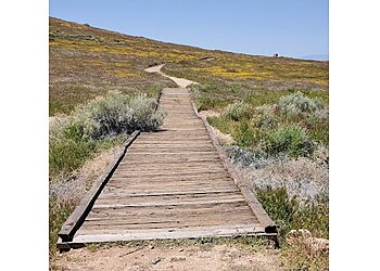 Lancaster Hiking Trails Antelope Valley California Poppy Reserve
