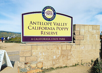Antelope Valley California Poppy Reserve Lancaster Hiking Trails