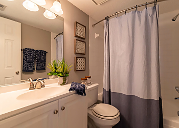 Clearwater Apartments For Rent Anthem Clearwater