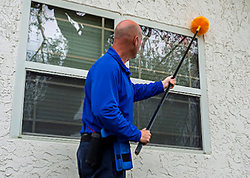 Clearwater Pest Control Companies Anti-Pesto Bug Killers Inc.