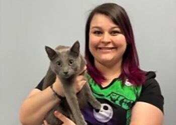 Kansas City Veterinary Clinics Antioch Dog & Cat Hospital