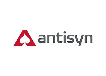 Jacksonville It Services Antisyn