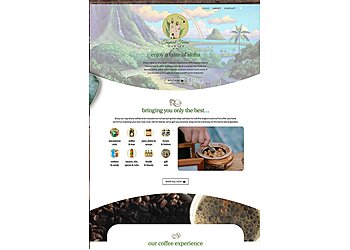 Honolulu Web Designers Antsy Ant Web Design, LLC