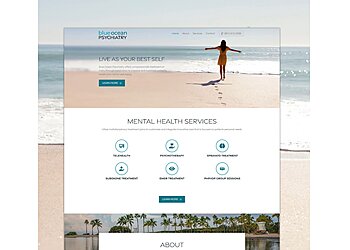 Honolulu Web Designers Antsy Ant Web Design, LLC