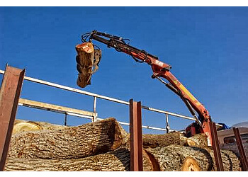 Any Time Tree Specialist Fremont Tree Services